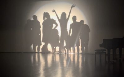 Erasmus+ project UNISON: C3 – PERFORMANCES AND THEATRE WORKSHOPS, Performance-oriented approach, Shadow Theatre and Forum Theatre